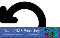 PiezoNEMS Workshop