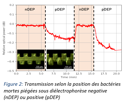 capteur dielectrophorese