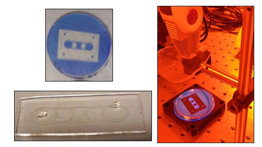 Film Ristonet PDMS