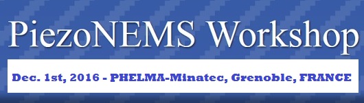 PiezoNEMS Workshop