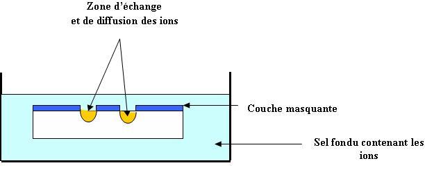 Zone d'échange et de diffusion des ions