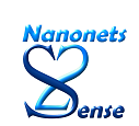 Nanonets2Sense project (RIA 2016-2019 n° 688329)
