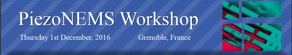 PiezoNEMS Workshop