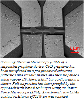 Graphene devices